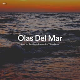 #01 Olas Del Mar para Un Ambiente Romántico Y Relajante - Olas del Mar
