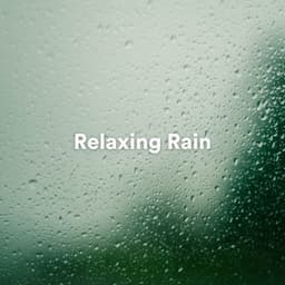Relaxing Rain - Sons De Pluie