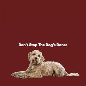 Don't Stop The Dog's Dance - The Elevator Music Jazz Trio