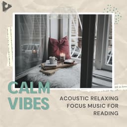 Acoustic Relaxing Focus Music for Reading - Calm Vibes