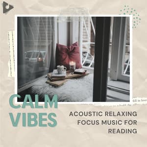 Acoustic Relaxing Focus Music for Reading - Calm Vibes