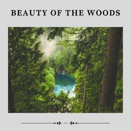 Beauty of the Woods - Mother Nature Recordings