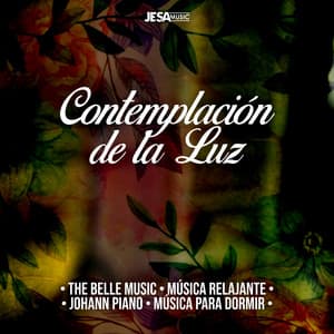 Contemplación de la Luz - The Belle Music