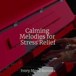Calming Melodies for Stress Relief - CANCIONES DE CUNA