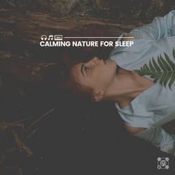 Calming Nature for Sleep - Cricket Sounds