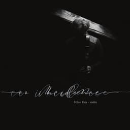 Co-incidence: Milan Pala – Violin - Milan Pala
