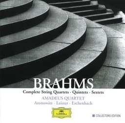 Brahms: Complete String Quartets, Quintets & Sextets - Johannes Brahms