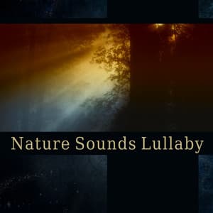 Nature Sounds Lullaby – Restful & Serene Music to Help You Sleep, Natural Ambiences, Blissful Repose, Restoration, Evening Meditation - Liam Camprelle