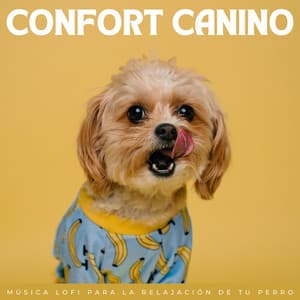 Confort Canino: Música Lofi Para La Relajación De Tu Perro - Serenidad Academy
