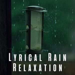 Lyrical Rain Relaxation - 101 Nature