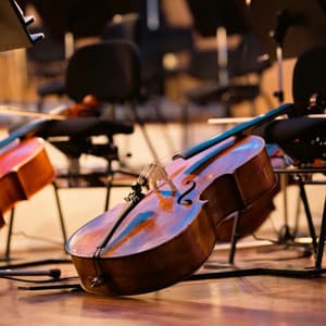 Pets' Relaxing Orchestra Melodies - Jason Humphries