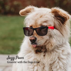 Jazz Paws: Groovin' with the Dogs Crew - Jazz Chill Out Relaxation
