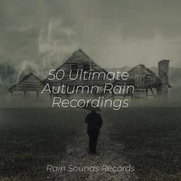 50 Ultimate Autumn Rain Recordings - Relajación