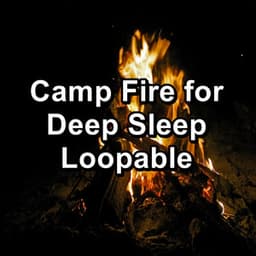 Camp Fire for Deep Sleep Loopable - Rain Sounds