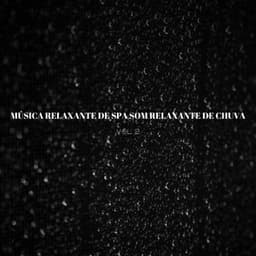 Música Relaxante De Spa Som Relaxante De Chuva Vol. 2 - Música de Relaxamento No Spa