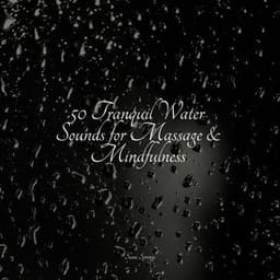 50 Tranquil Water Sounds for Massage & Mindfulness - Tibetan Singing Bowls for Relaxation