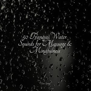 50 Tranquil Water Sounds for Massage & Mindfulness - Tibetan Singing Bowls for Relaxation