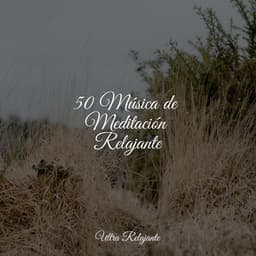 50 Música de Meditación Relajante - Dormir e Meditar