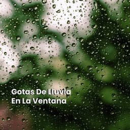 Gotas De Lluvia En La Ventana - Sonidos De La Naturaleza