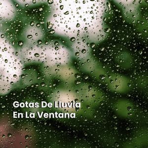 Gotas De Lluvia En La Ventana - Sonidos De La Naturaleza