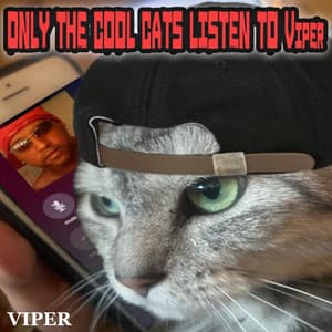 Only The Cool Cats Listen To Viper - Viper