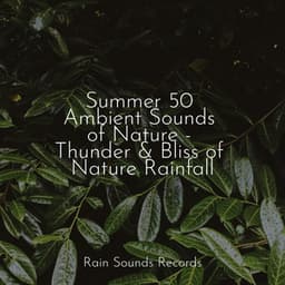 Summer 50 Ambient Sounds of Nature - Thunder & Bliss of Nature Rainfall - Rain Sound Studio