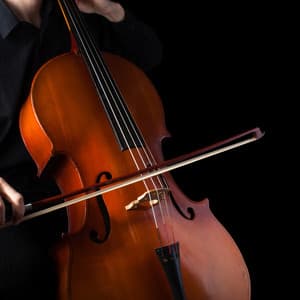 Calm Night Orchestra for Baby Sleep - Valborg Shamsuddin