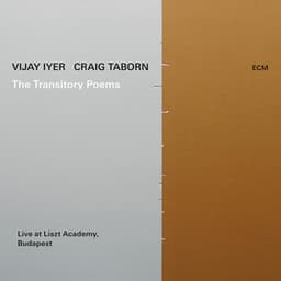 The Transitory Poems - Vijay Iyer