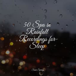 50 Spa in Rainfall Recordings for Sleep - Deep Sleep FX