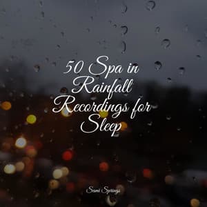 50 Spa in Rainfall Recordings for Sleep - Deep Sleep FX