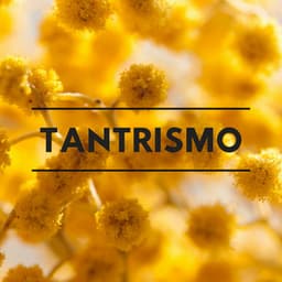 Tantrismo - Música para el Estado del Bien y de la Felicidad - Meditación Maestro