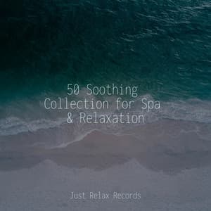 50 Soothing Collection for Spa & Relaxation - Dormir