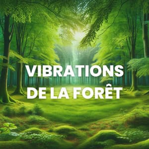 Vibrations de la forêt: Des sons calmes de la nature pour un esprit et un corps détendus - Zone de Détente