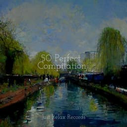 50 Perfect Compilation - Happy Baby Lullaby Collection