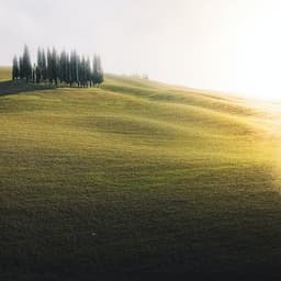 Relaxing White Noise to Calm - White Noise Collectors