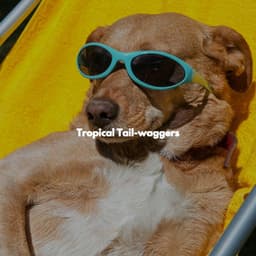 Tropical Tail-waggers - Relajante Jazz Bossa Nova