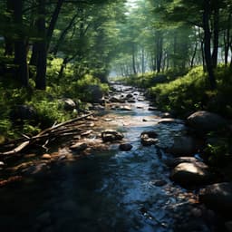 Flowing River Study: Peaceful Soundscapes - Microdynamic Recordings