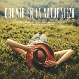 Dormir en la Naturaleza: Música de Ambiente con Sonidos Naturales para un Sueño Profundo y Tranquilo - Dormir Mejor