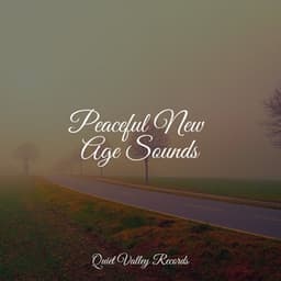 Peaceful New Age Sounds - Kundalini: Yoga