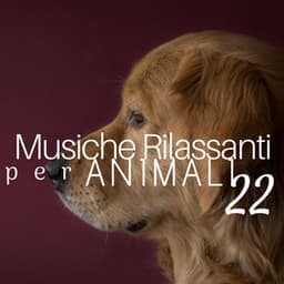 22 Musiche Rilassanti per Animali - Musica per far dormire i Cani - Oriental Espresso