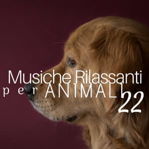22 Musiche Rilassanti per Animali - Musica per far dormire i Cani - Oriental Espresso