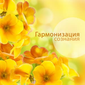 Гармонизация сознания - Serenity Music Academy