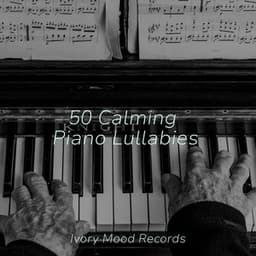 50 Calming Piano Lullabies - Spa