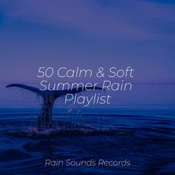 50 Calm & Soft Summer Rain Playlist - Rain Sound Studio
