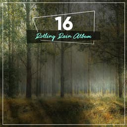 20 Rolling Rain Sounds to Calm the Mind - Nature Sounds XLE Library