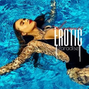 Summer Erotic Paradise: Relax & Rest, Electro Chill Out Music, Erotic Vibes, Sexy Music, Sensual Obssesion, Tropical Beats - Ibiza Chillout Unlimited