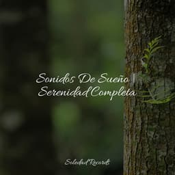 Sonidos De Sueño | Serenidad Completa - Música de la Naturaleza