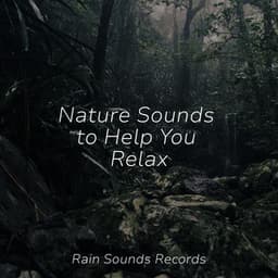 Nature Sounds to Help You Relax - Sleep Sounds of Nature