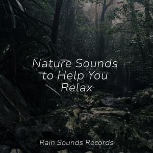 Nature Sounds to Help You Relax - Sleep Sounds of Nature