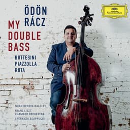 My Double Bass - Odon Racz